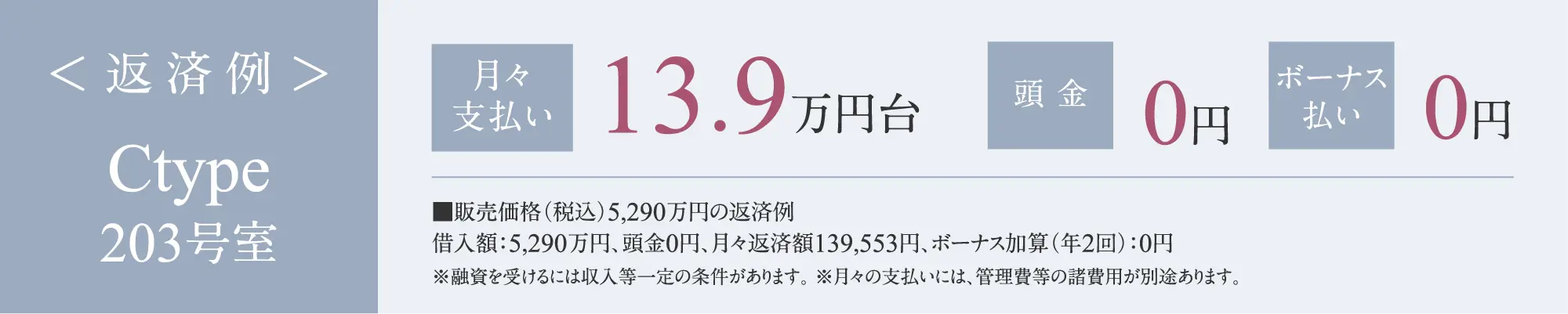 Ctype返済例