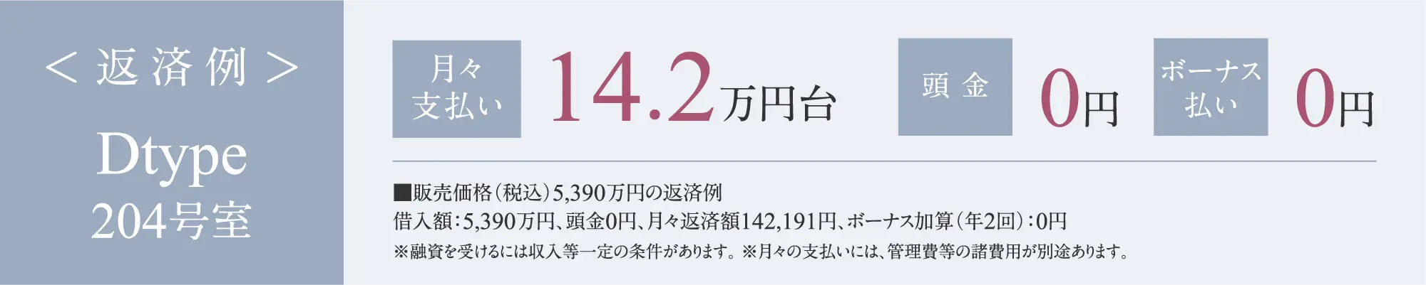 Dtype返済例